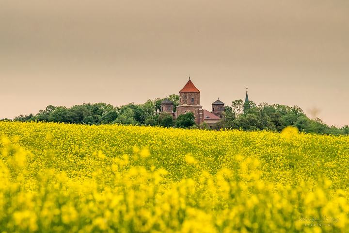 Toszek — Zamek Toszek - panorama
