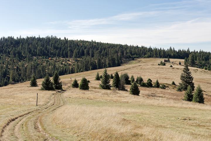 Turbacz i Gorce z Rabki — Turbacz Glade in the Gorce Mountains
