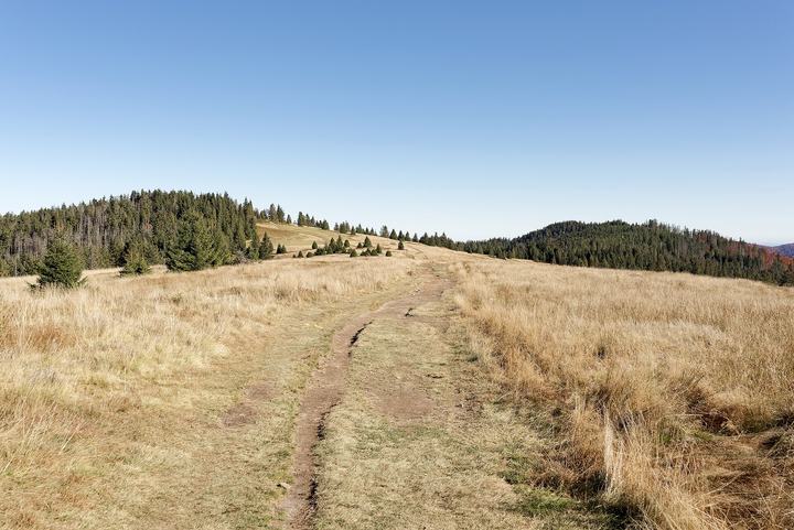 Turbacz i Gorce z Rabki — Turbacz Glade in the Gorce Mountains