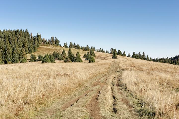 Turbacz i Gorce z Rabki — Turbacz Glade in the Gorce Mountains