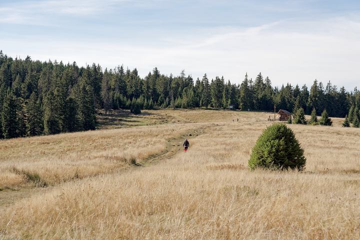 Turbacz i Gorce z Rabki — Turbacz Glade in the Gorce Mountains