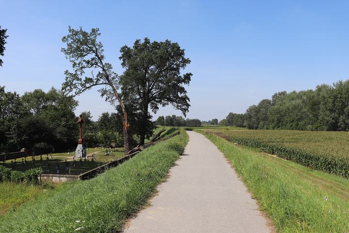 Velo Dunajec — Pasieka Otfinowska - the Dunajec dike with Velo Dunajec cycle route