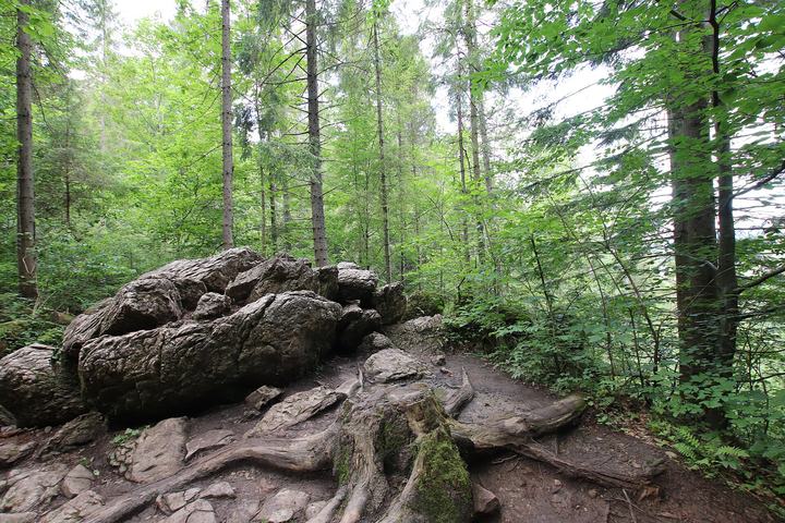 Wąwóz Homole i Jaworki — Jaworki - Homole Gorge
