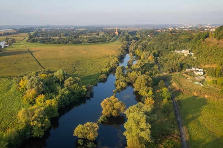 Wda — Rzeka Wda w pobliżu Świecia