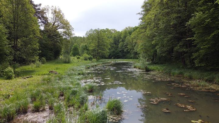 Wda — Rzeka Wda(Fot. Maciej Raczkowski)