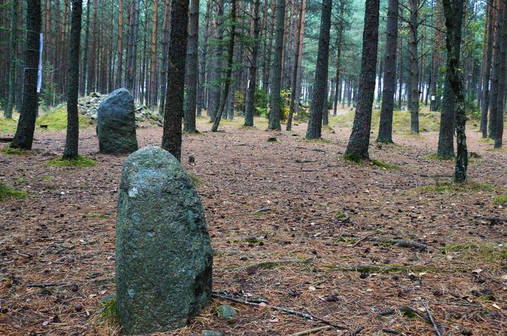 Węsiory — Kręgi kamienne w Węsiorach.
