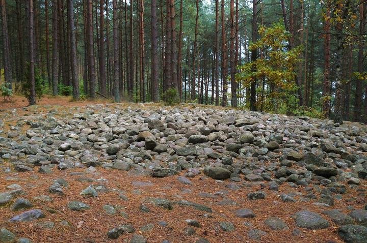 Węsiory — Kręgi kamienne w Węsiorach.