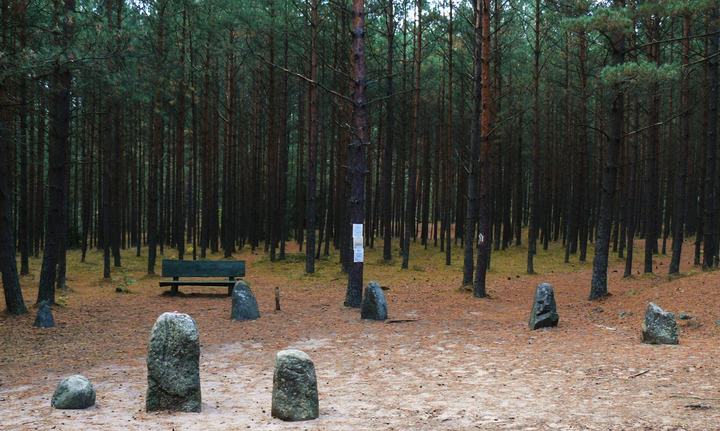 Węsiory — Kręgi kamienne w Węsiorach.