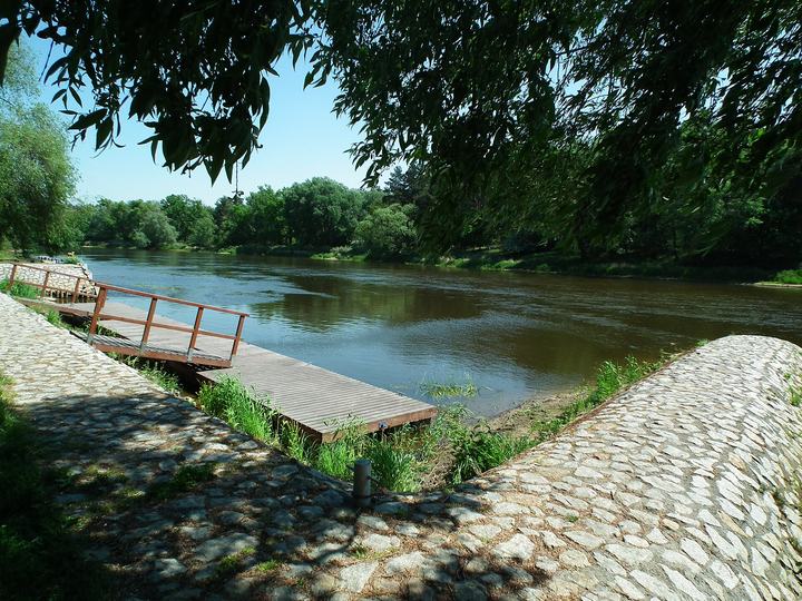 Wielka Pętla Wielkopolski — Warta w Puszczykówku.