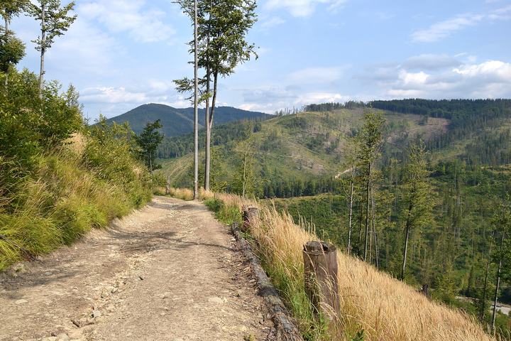 Wielka Racza z Rycerki Górnej — This is a photography of protected area with CRFOP ID