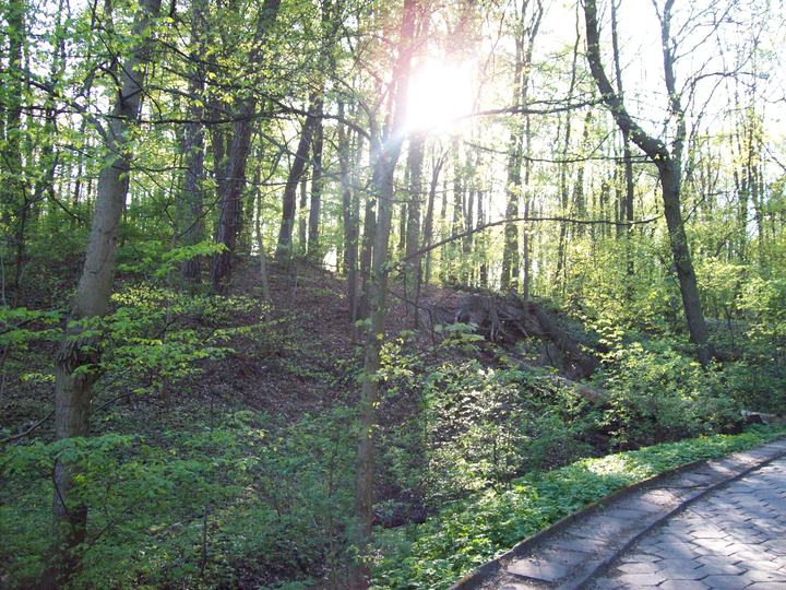 Wielkopolski Park Narodowy — Wielkopolska National Park in the spring, Puszczykowo Mountains reservation