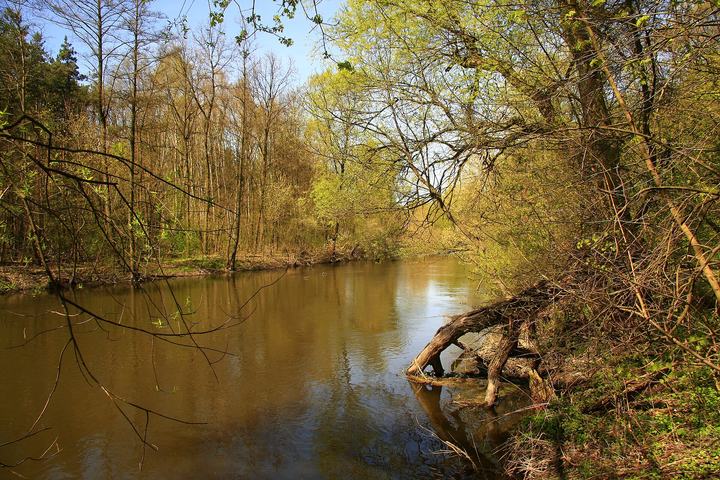 Wieprz – kajakiem z Roztocza