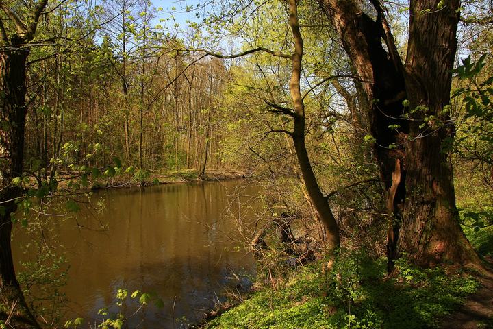 Wieprz — 51°18'41.51"N, 22°52'52.24"E