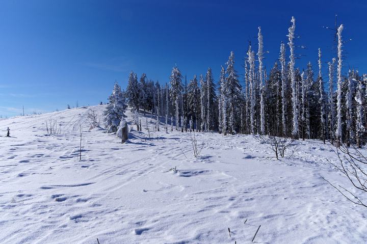 Wisła i Barania Góra — Barania Góra in Silesian Beskids
