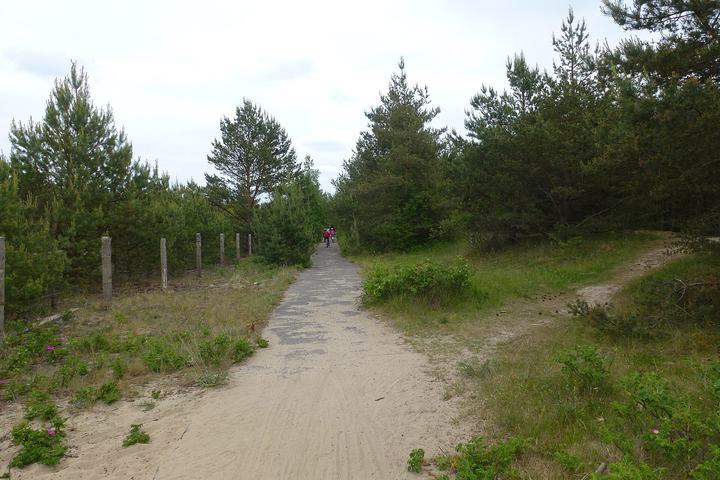 Wyspa Sobieszewska — Wyspa Sobieszewska, Gdańsk, Poland