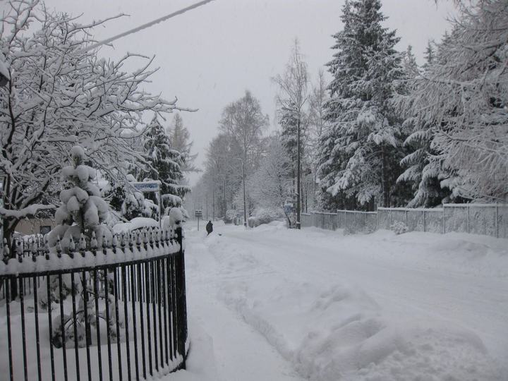 Zakopane zimą — Zakopane, Poland