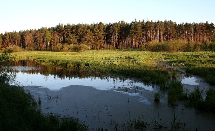 Załęcze — Załęczański Park Krajobrazowy - użytek ekologiczny Wronia Woda