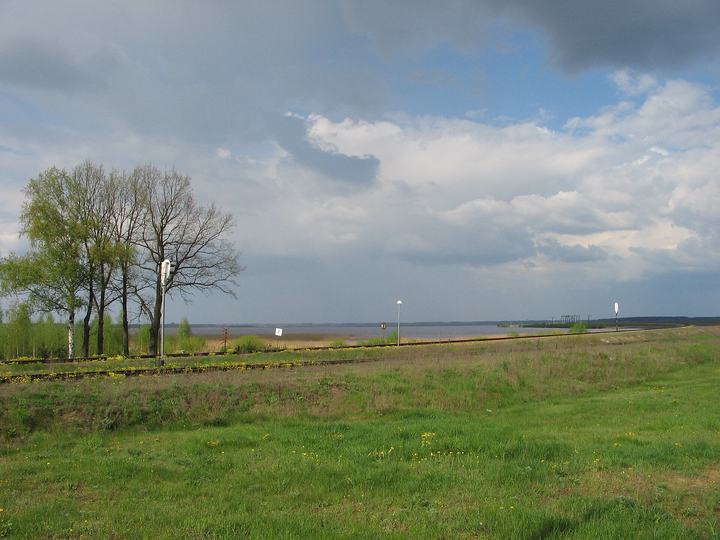 Zalew Siemianówka – raj ptaków