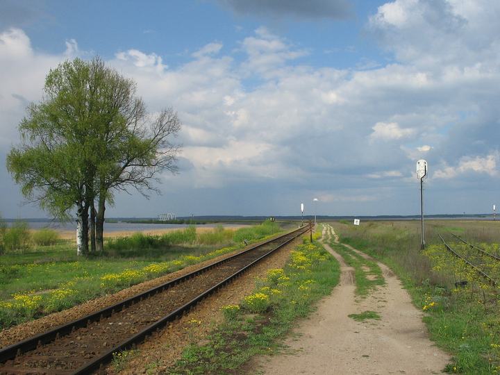 Zalew Siemianówka — Stacja Siemianówka - widok na normalny tor w stronę Zalewu Siemianówka, w tle most kolejow