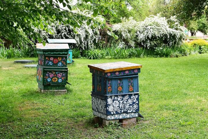 Zalipie — Zalipie is a small rural village in south-eastern Poland, renowned for its floral house pa