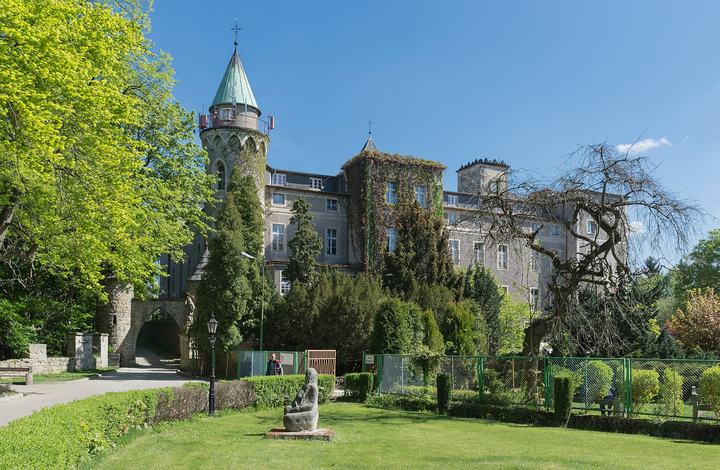 Zamek Leśna w Szczytnej — Leśna castle in Szczytna