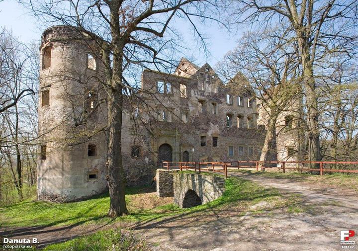 Zamek Świny – ruiny koło Bolkowa