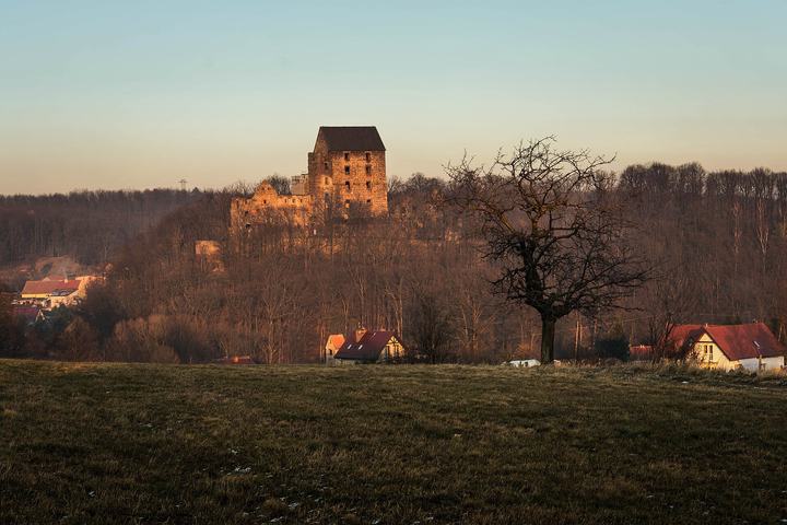 Zamek Świny — Widok na Zamek Świny z ulicy Demokratycznej