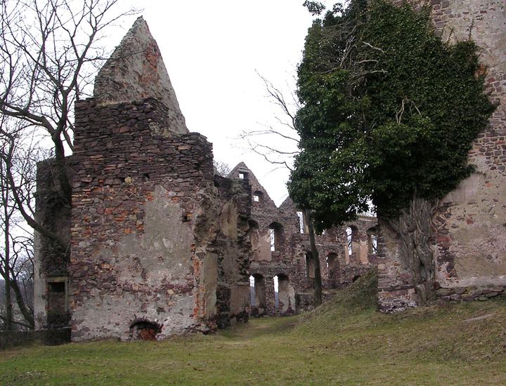 Zamek Świny — Świny, Zamek Świny