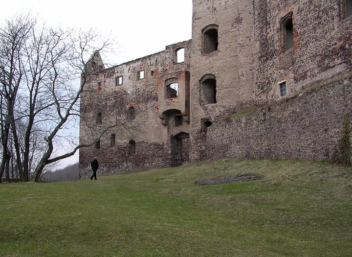 Zamek Świny — Świny, Zamek Świny