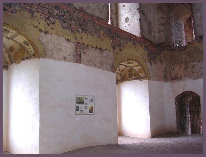 Zamek Świny — Świny, Zamek Świny
