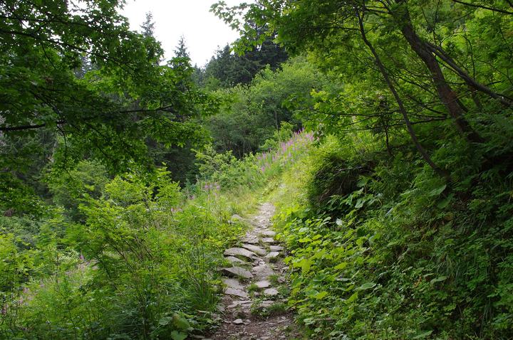 Zawoja — Gmina Zawoja, Poland