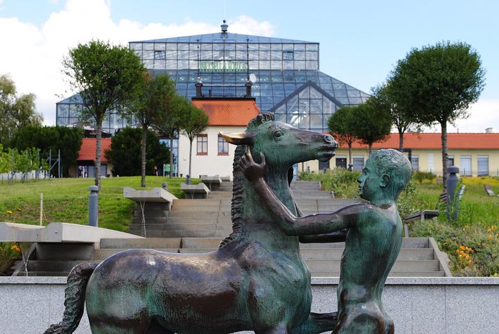Zielona Góra – winnice i Palmiarnia