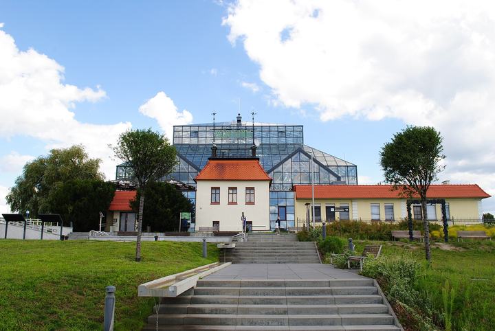 Zielona Góra — Zielona Góra. Palmiarnia