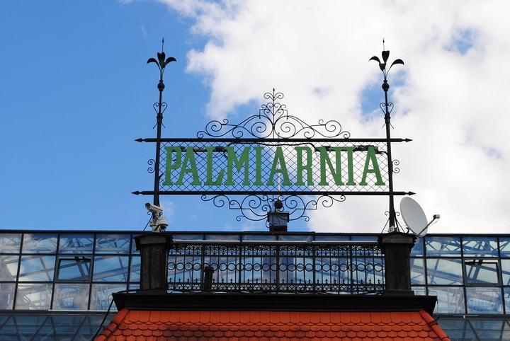 Zielona Góra — Zielona Góra. Palmiarnia