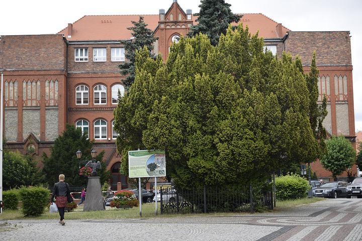 Złotoryja — Złotoryja. Polska.