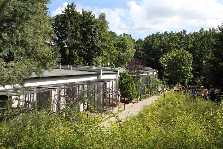 Zoo w Gdańsku Oliwie — Oliwa Zoo in Gdańsk , Poland.