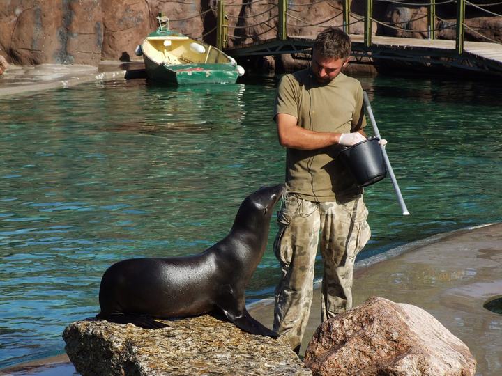 Zoo w Opolu na wyspie Bolko