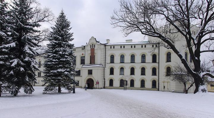 Żywiec — Stary Zamek w Żywcu